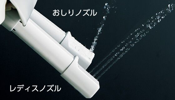 ノズルが2本、レディスノズル
